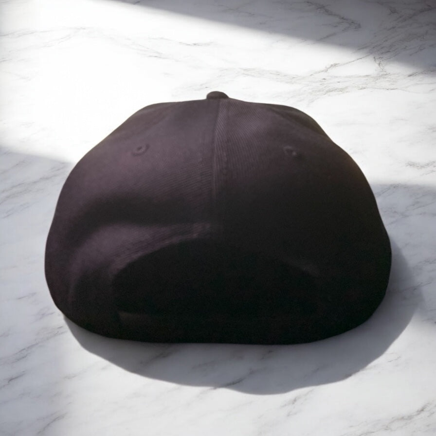 T Hill Embroidered 6-Panel Flat Bill Snapback - One Size Fits All **Free Shipping**